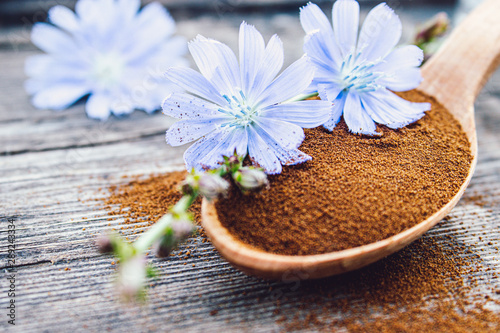 Blue chicory flower and a wooden spoon of chicory powder on an old wooden table. Chicory powder. The concept of healthy diet drink.