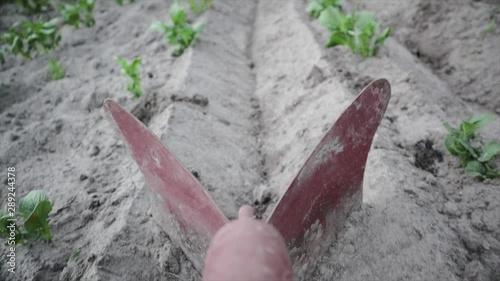 POV slow motion close-up of plowshare, Hiller. Seasonal processing of root crops, the formation of ridges. Natural and healthy food