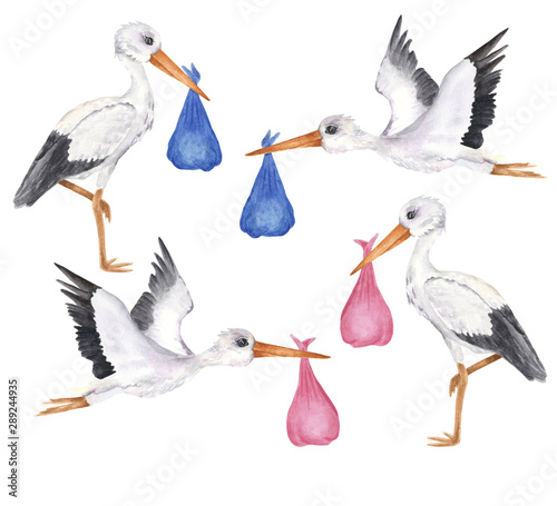 Set of white storks with girl and boy baby. Isolated object on the white background, watercolor hand drawn illustration, cartoon characte