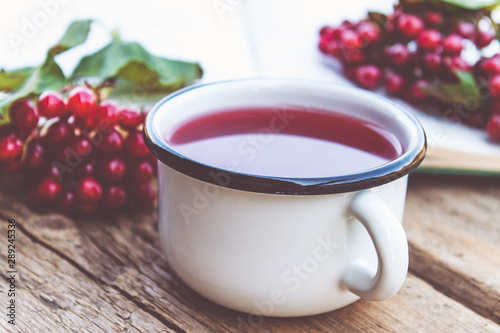 White mug or cup of hot viburnum tea on a wooden table near an open book and red viburnum berries. Source of natural vitamins. Used in folk medicine.