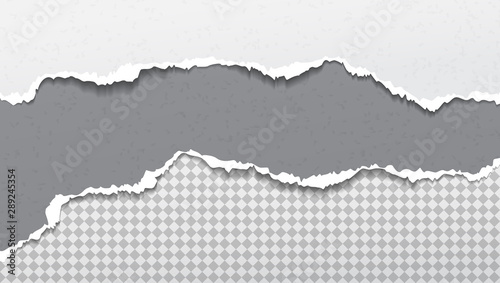 Set of torn  ripped white and grey paper strips with soft shadow are on squared background. Vector template illustration