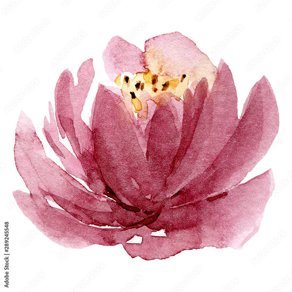 Pink single flower, watercolor floral illustration, decoration for poster,  greeting card, birthday, wedding design. Isolated on white background. Hand  painting. Stock Illustration | Adobe Stock
