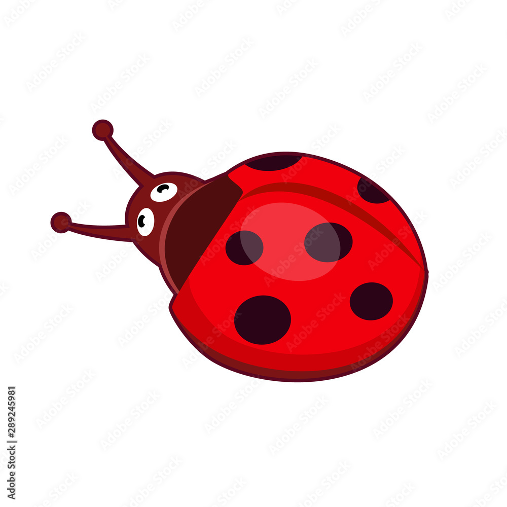 Vector illustration of cute ladybird Vector illustration of cute ladybird