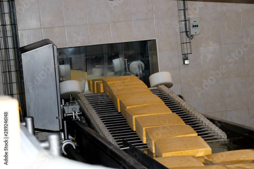 Production of cheese on the conveyor.Automatic line at a cheese factory