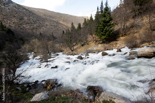 Waterfall; Nature; Water; Rock - Object; Falling; River; Flowing; Tree; Ethereal; Stream - Flowing Water; Flowing Water; Beauty In Nature; Mountain; Spring - Flowing Water; Springtime; Stone - Object;