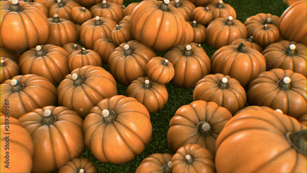 Halloween Group of pumpkins growing from grass 4K Orange background 4k video Halloween Group of pumpkins growing from grass 4K Orange background 4k video