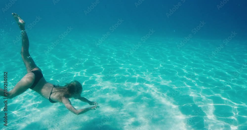 Young attractive woman in a bikini diving beneath the ocean's surface and swimming back up for air, exploring the aquatic world