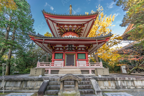 Ichou (ginkgo tree) Autumn colors, Fall foliage and Inscriptions: Rei-to 