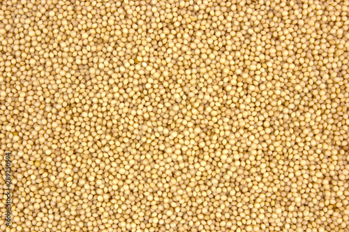 Amaranth grain as a food background texture.