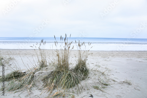 Fototapeta Naklejka Na Ścianę i Meble -  Sand texture on the beach. Cold seaside background. Baltic sea.