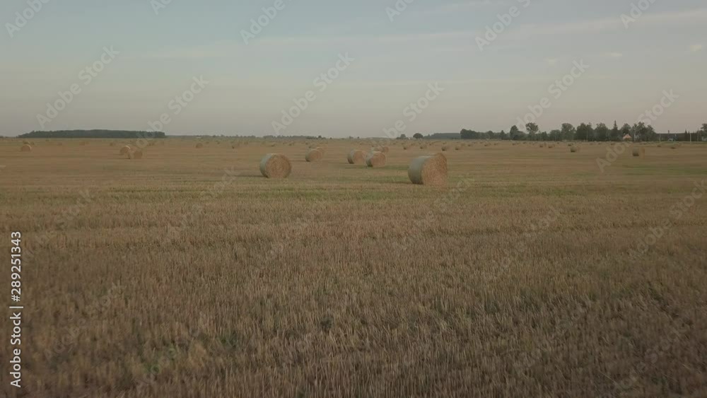 Low angle aerial drone shot above hay roll field during nice summer sunset. Agricultural theme. Low angle aerial drone shot above hay roll field during nice summer sunset. Agricultural theme.