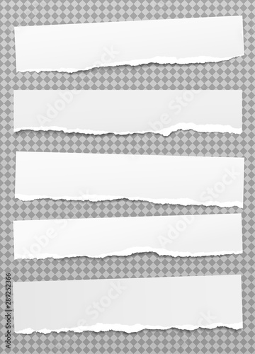 Set of torn horizontal white note, notebook paper pieces stuck on grey squared background. Vector illustration