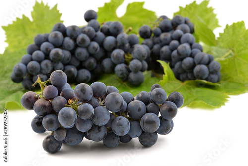 Dark blue grape bunch with leaves isolated on white background.