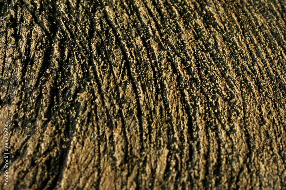 wood surface and texture background wood surface and texture background