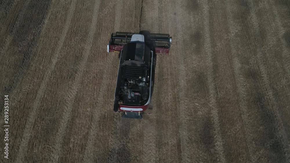 The harvester works in the field. Combine harvester collects ripe golden wheat on the field. The concept of agricultural activity. Collective farmers are harvesting work. Healthy, Organic The harvester works in the field. Combine harvester collects ripe golden wheat on the field. The concept of agricultural activity. Collective farmers are harvesting work. Healthy, Organic