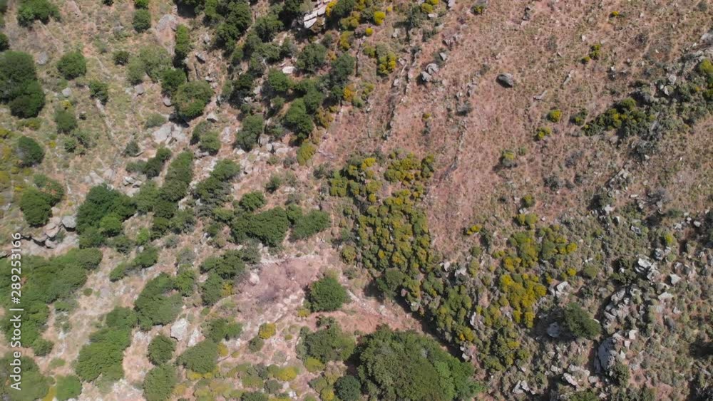 Top down rising aerial over arrid, dry landscape with few green bushes Top down rising aerial over arrid, dry landscape with few green bushes