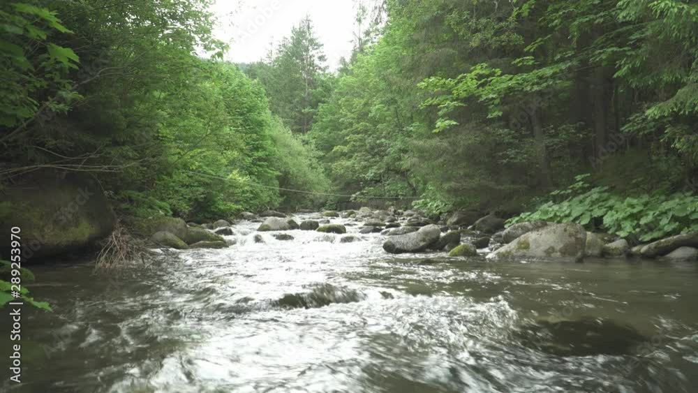 Low angle shot of streamy river in Slovakian mountains surrounded by forest Low angle shot of streamy river in Slovakian mountains surrounded by forest