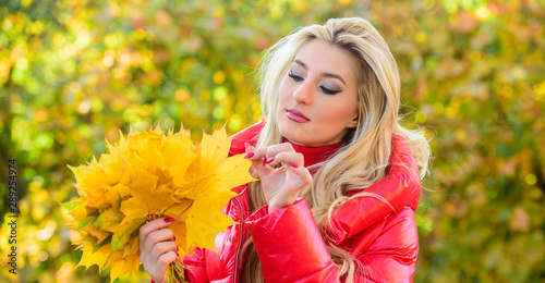 Girl dreamy face hold bunch maple leaves. DIY project autumn leaf bouquet. Woman gather leaves in park. Autumn is her favorite season of year. Lady gathering leaves autumn nature background