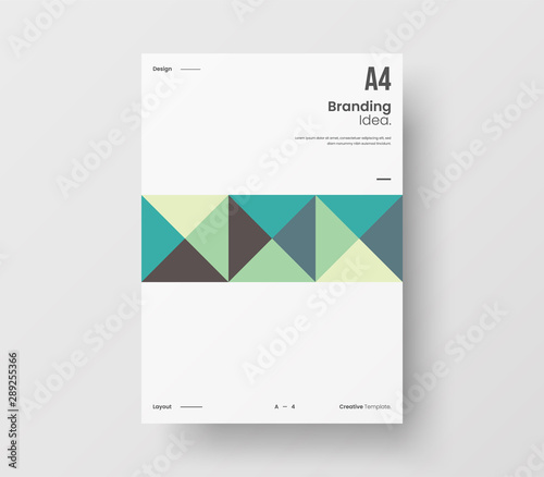 Amazing business presentation vector A4 vertical orientation front page mock up. Modern corporate report cover abstract geometric illustration design layout. Company identity brochure template.