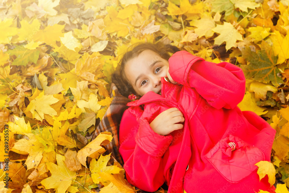 a little child playing in the leaves a little child playing in the leaves