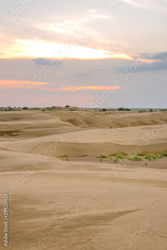 Sunset in Thar desert in rajasthan - india