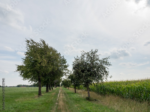 Billerbeck und die Baumberge im Münsterland photo