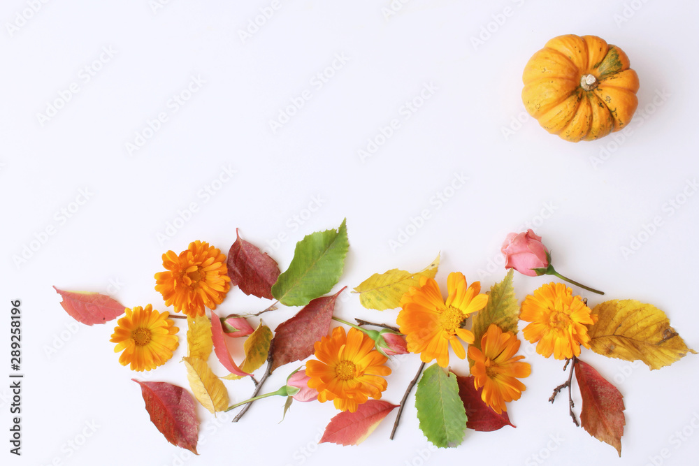 Autumn style photo .Background of colorful autumn pumpkin and leaves, fall season concept. Flat lay, top view. Autumn style photo .Background of colorful autumn pumpkin and leaves, fall season concept. Flat lay, top view.