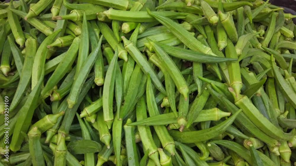 Files of green Okra or ladies finger vegetables. Files of green Okra or ladies finger vegetables.