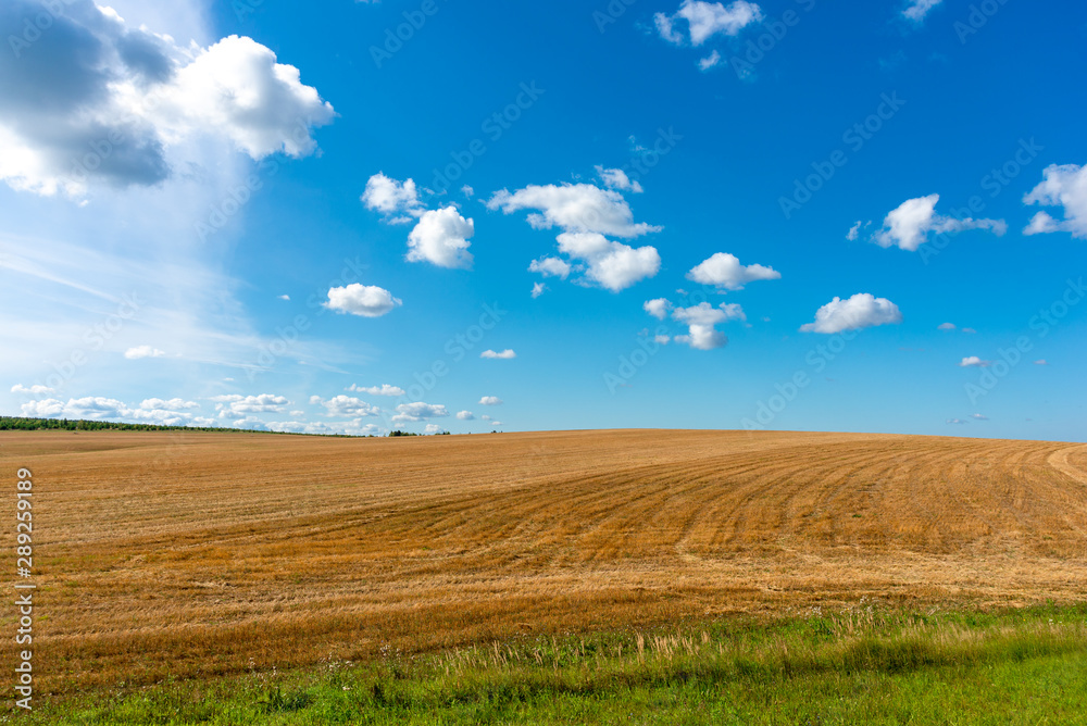 Harvesting of grain is completed. Zavyalovsky district, Udmurt Republic, Russia.