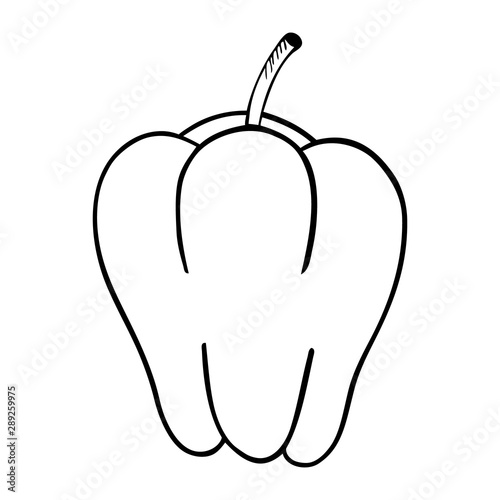 Black and white vector illustration of bell pepper