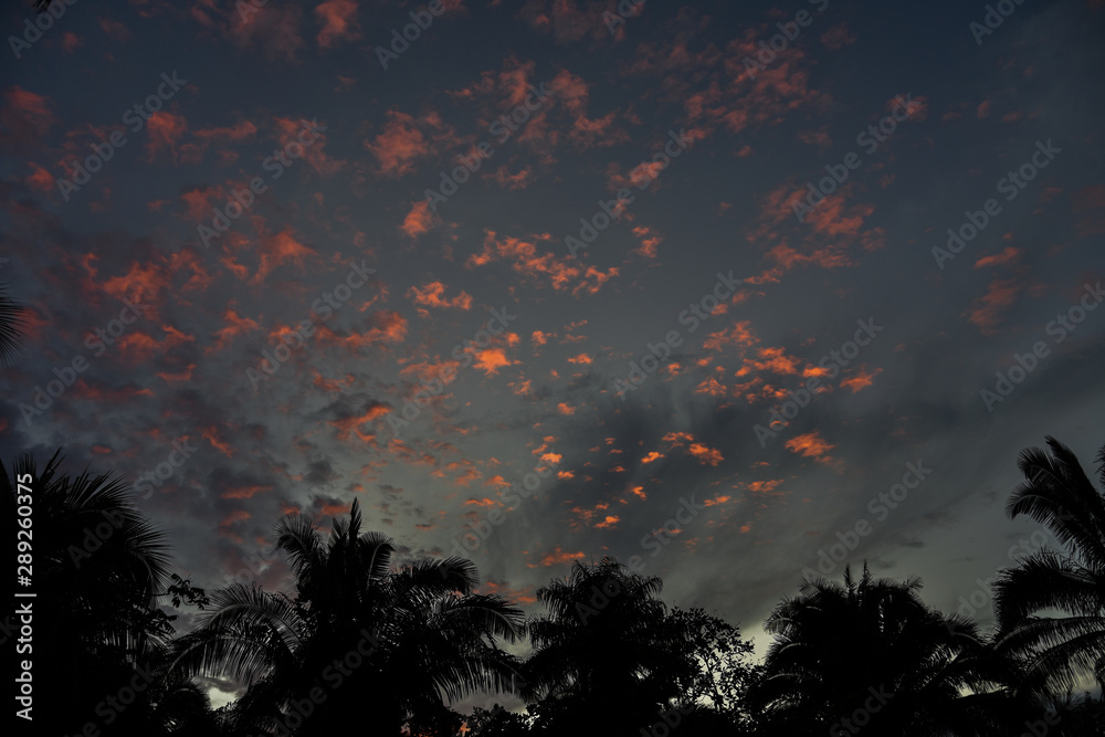 Fototapeta premium sunset