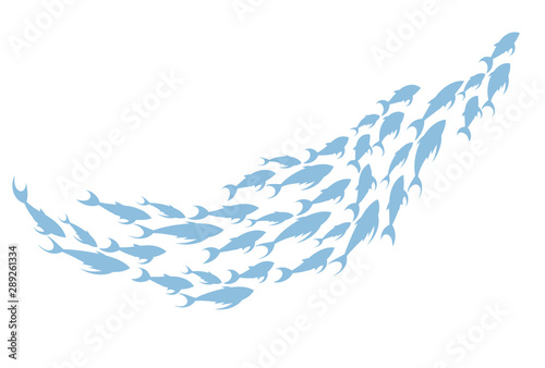 Photography Colored silhouettes of groups of sea fishes