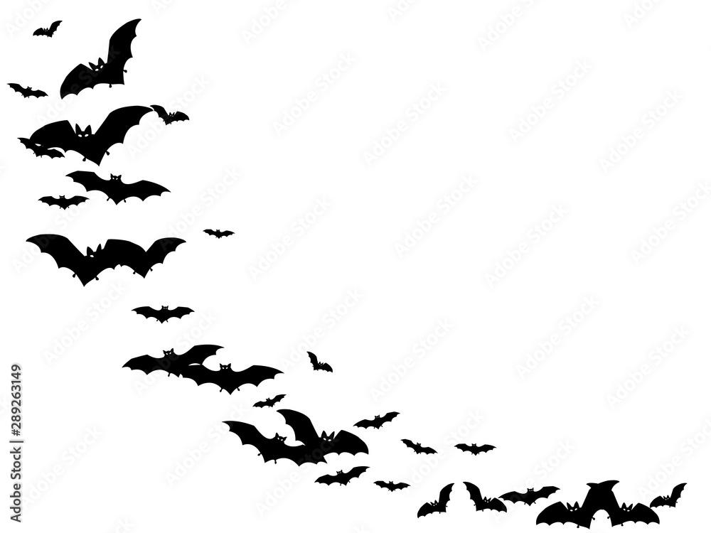 Fototapeta premium Gotyckie czarne nietoperze rój na białym tle na białe tło wektor Halloween. Flittermouse nocnych stworzeń ilustracja. Sylwetki latających nietoperzy wampirów Halloween symboli na białym tle.