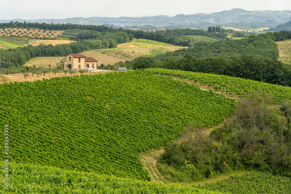 Summer landscape in the Chianti region at summer