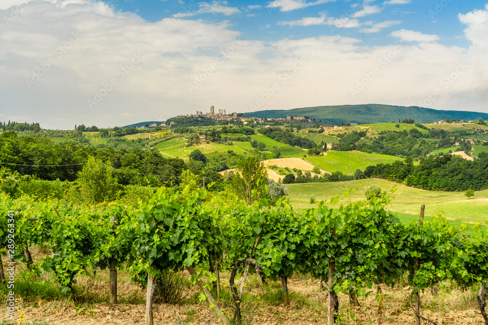 Summer landscape in the Chianti region at summer Summer landscape in the Chianti region at summer