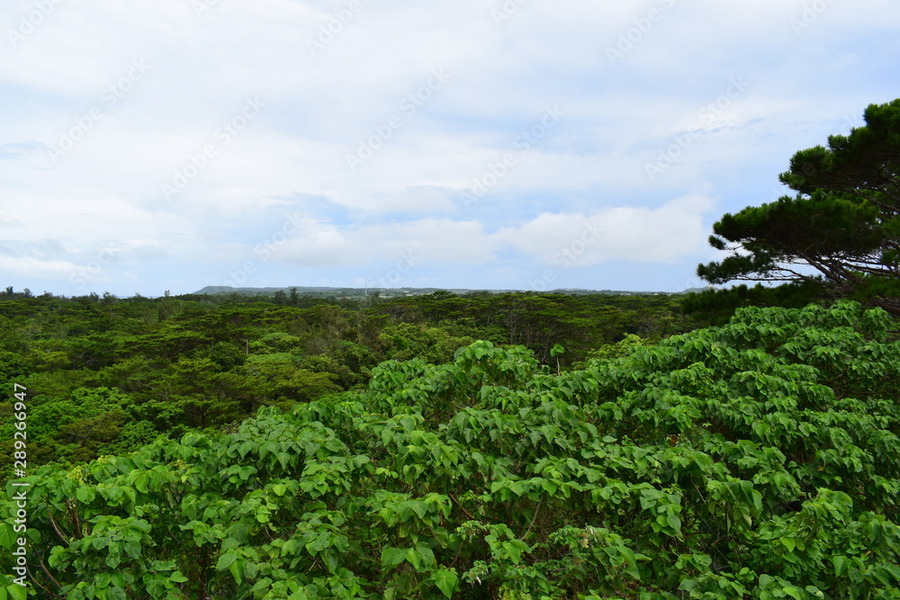 Miyako Jima Japão