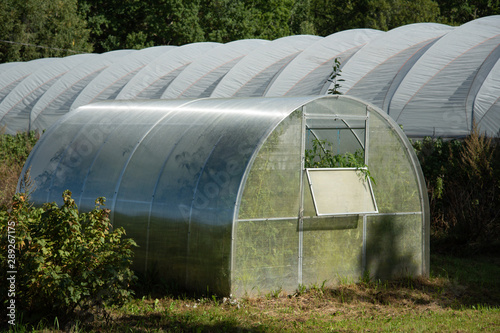Protective tunnels for berries. © Ludmila Smite