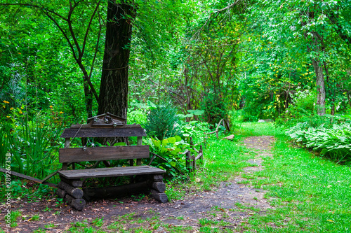 An old wooden bench in the park among green trees and grass in the forest along which there is a path for walking. Rest and tranquility in the fresh air in nature.