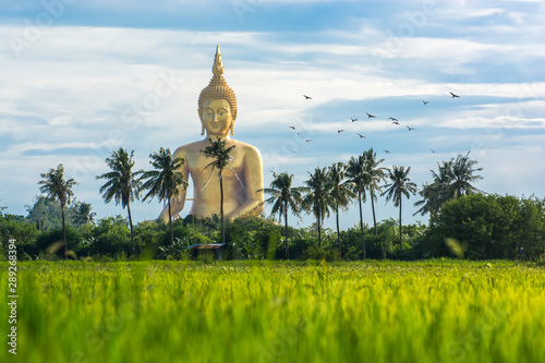 Big Buddha statue at Wat Muang  Ang Thong Province  Thailand