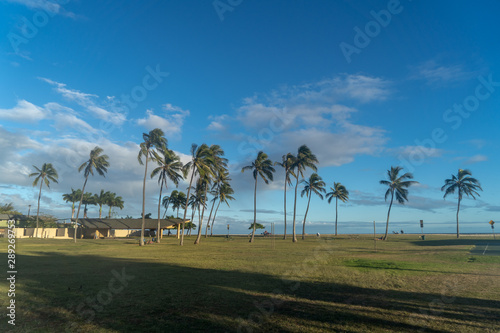 hawaii beach shoreline day