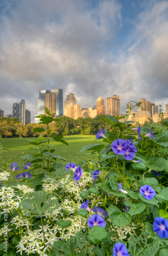 Central Park summer Central Park summer