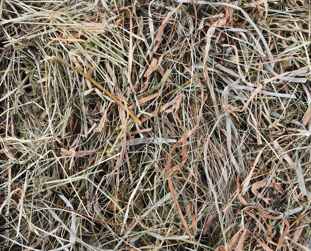 Hay, straw, thatch pile background and texture Hay, straw, thatch pile background and texture