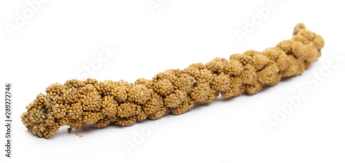 Bird seed, millet stick isolated on white background