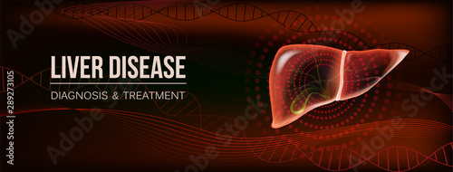 Dark red realistic liver and gallbladder social media banner