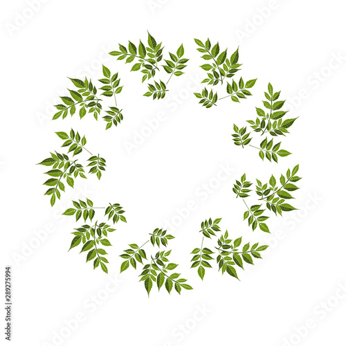 Floral design card with leaves hand drawn  vector.  Herbs forest round isilated on white.