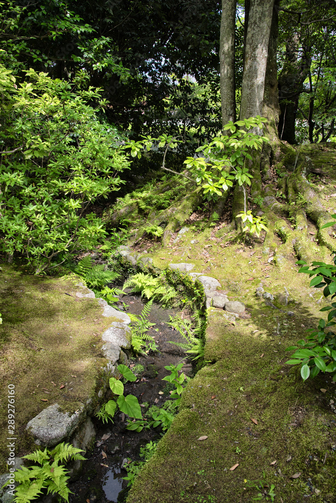 Hand-made creek in japanese park, summer