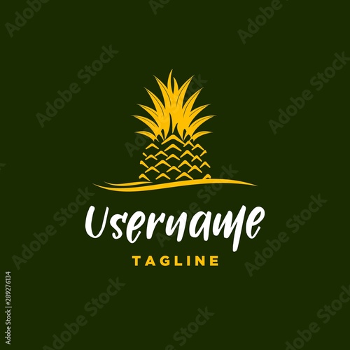  pineapple logo design inspiration . hipster pineapple logo template
