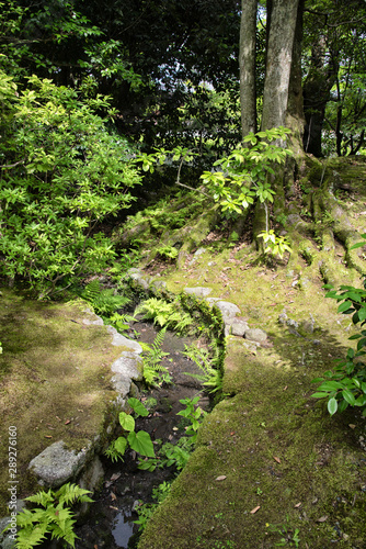 Hand-made creek in japanese park, summer