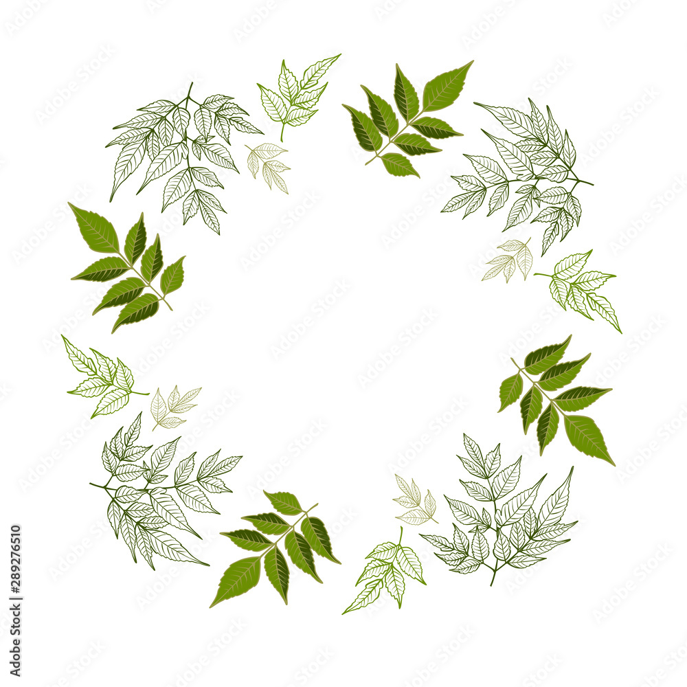 Obraz premium Floral design card with leaves hand drawn, vector. Herbs forest round isilated on white.