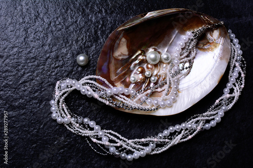 Pearls in a shell on a black background